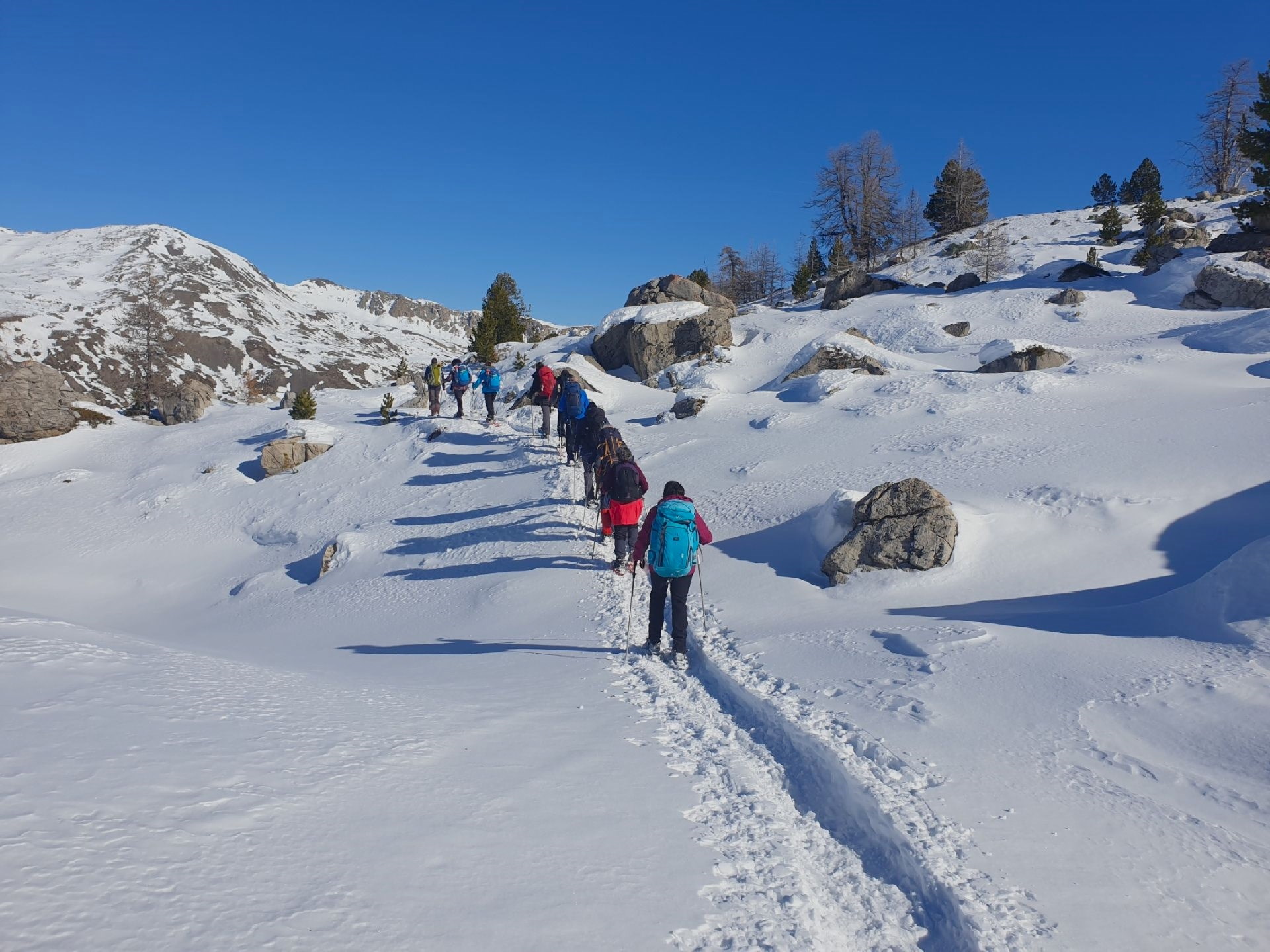 Blancs Ecrins à Freissinières -6463d52380b58: /